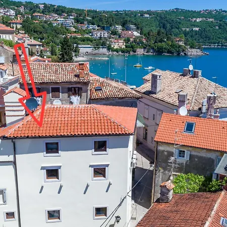 Villa Ula Premium Apartments ,Free Private Parking Opatija Exterior photo